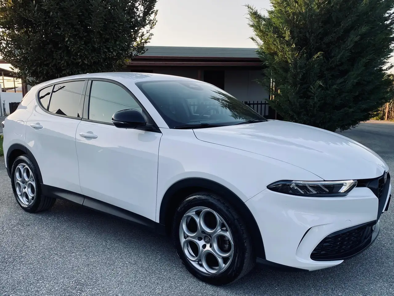 Alfa Romeo Tonale 2024