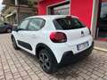 Citroen C3 BlueHDi 100 S&S Shine Bianco - thumbnail 4