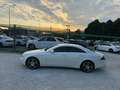 Mercedes-Benz CLS 350 CLS Berlina 320cdi V6 Pack AMG  Navi+Pelle+Full Bianco - thumbnail 5