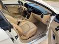 Mercedes-Benz CLS 350 CLS Berlina 320cdi V6 Pack AMG  Navi+Pelle+Full Bianco - thumbnail 13
