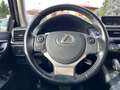 Lexus CT 200h CT Hybrid Executive Серый - thumbnail 14