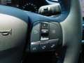 Ford Fiesta 1.0 Ecoboost Hybrid Active 125 cv Bianco - thumbnail 14