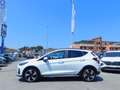 Ford Fiesta 1.0 Ecoboost Hybrid Active 125 cv Bianco - thumbnail 5