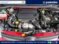 Fiat Panda FIAT  1.3 MJET 75CV TREKKING 4X4 Rot - thumbnail 9