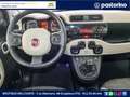 Fiat Panda FIAT  1.3 MJET 75CV TREKKING 4X4 Rot - thumbnail 14