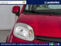 Fiat Panda FIAT  1.3 MJET 75CV TREKKING 4X4 Rot - thumbnail 4