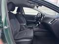 Kia Ceed / cee'd Silver Android 1.5 T-GDi, DCT Auto*Navi*WinterP... Grün - thumbnail 13