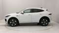 Jaguar E-Pace 2.0d i4 mhev R-Dyn.SE awd 204cv auto Blanc - thumbnail 2