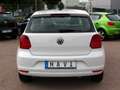 Volkswagen Polo V Trend. BMT*EURO6*NAVI*KLIMA*SHZ*ST&ST Weiß - thumbnail 5