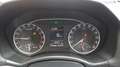 Skoda Octavia Wagon 2.0 tdi cr RS 170cv fap - thumbnail 3