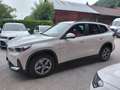 BMW X1 xDrive 20 d Aut. * AHK, Leder, Kamera, usw..* Weiß - thumbnail 2
