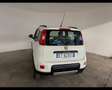 Fiat Panda 3ª serie - Panda 1.3 MJT S&S 4x4 Bianco - thumbnail 4