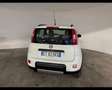 Fiat Panda 3ª serie - Panda 1.3 MJT S&S 4x4 Bianco - thumbnail 2