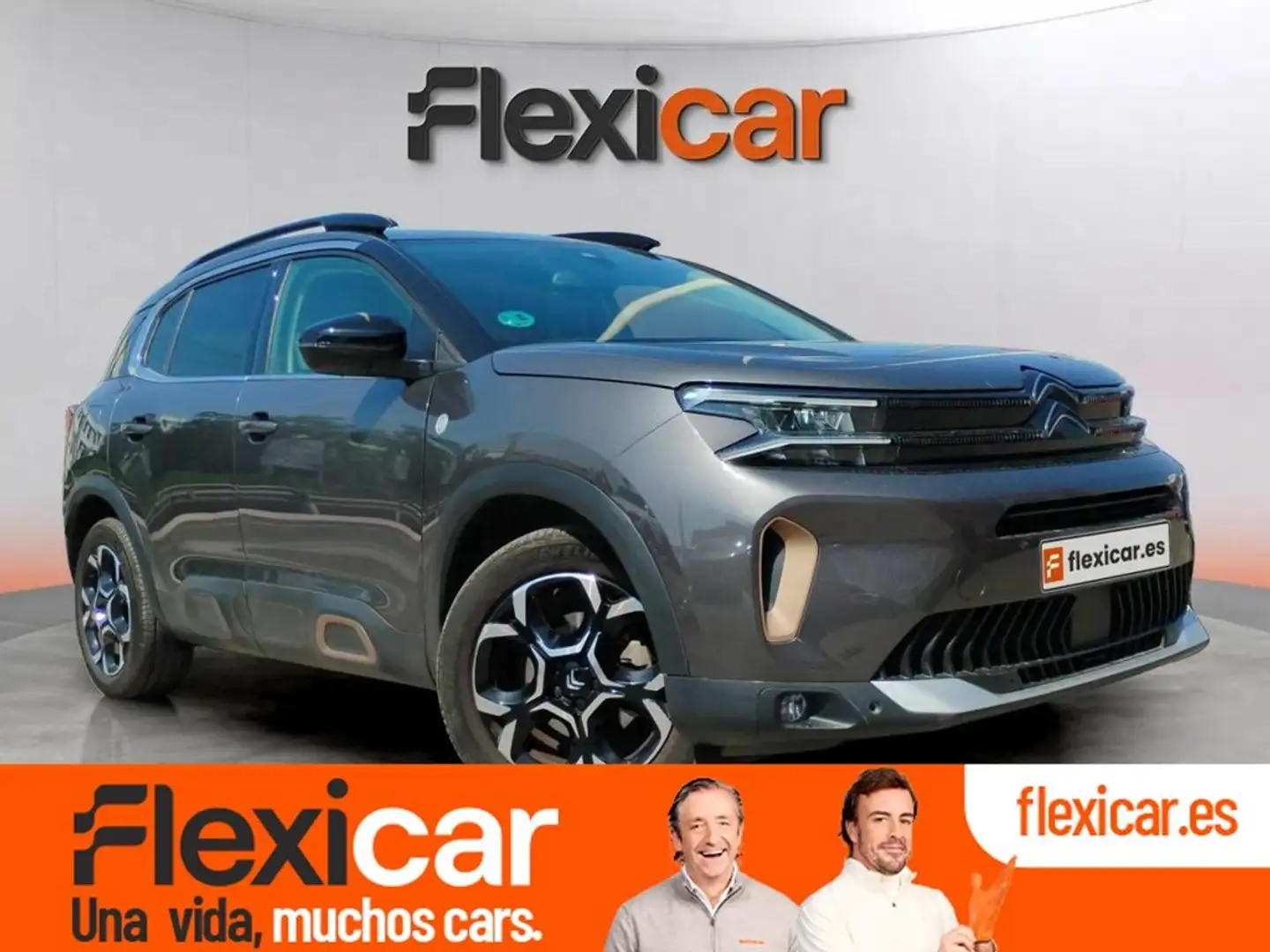 Citroen C5 Aircross PureTech 96kW (130CV) S&S You Gris - 1
