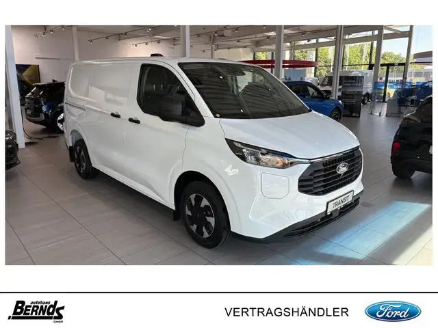 Ford Transit Custom view 13