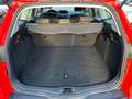 Ford Focus Turnier Ambiente*KLIMA*ZAHNRIEMEN NEU*HU N Rojo - thumbnail 10