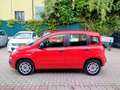 Fiat Panda Panda 1.2 Easy s NEOPATENTATI Rood - thumbnail 4