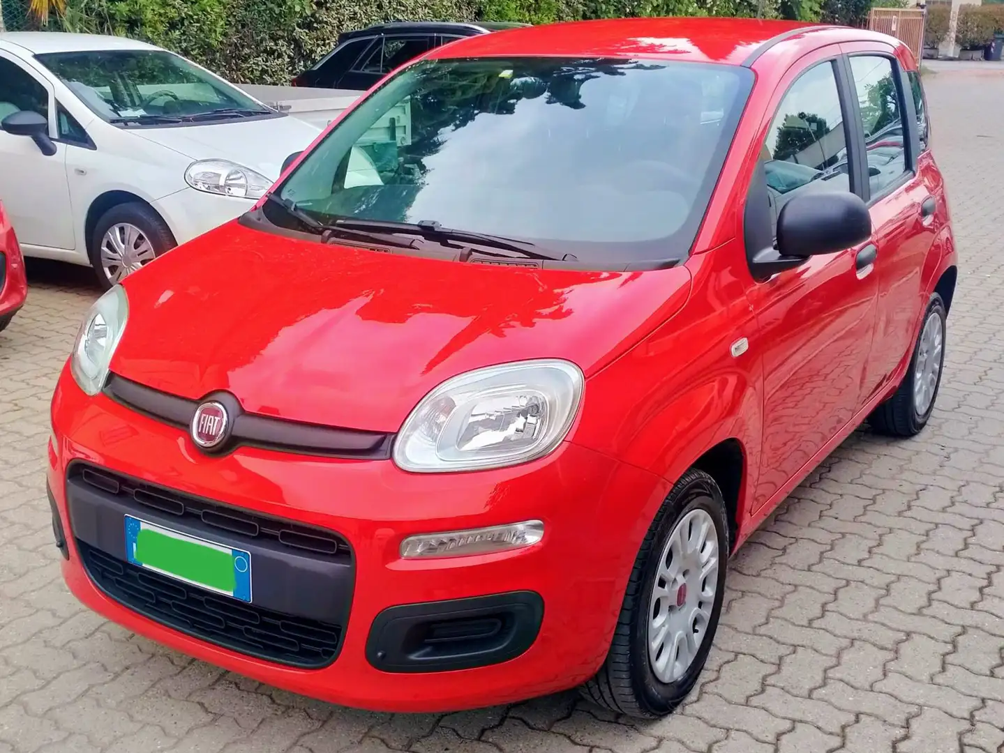 Fiat Panda Panda 1.2 Easy s NEOPATENTATI Rood - 1