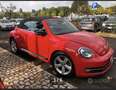 Volkswagen Maggiolino Cabrio 1.4 tsi Sport 160cv dsg - thumbnail 2