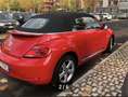 Volkswagen Maggiolino Cabrio 1.4 tsi Sport 160cv dsg - thumbnail 5