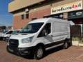 Ford Transit 2.0TDCi EcoBlue MHEV 130CV PM-TM HYBRIDO TAGLIAND Bianco - thumbnail 1