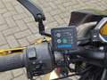 Kawasaki Z 1000 Marrón - thumbnail 4
