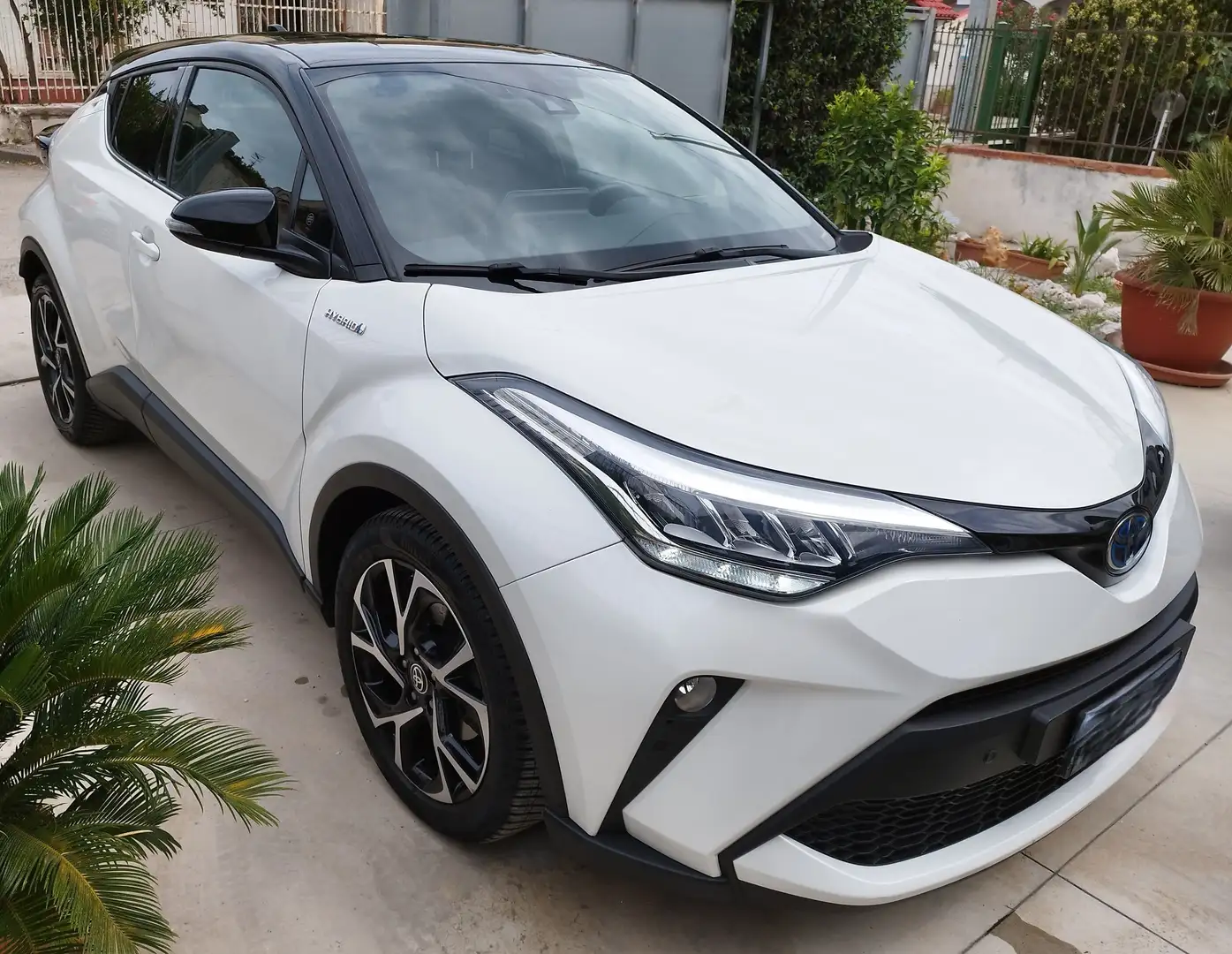 Toyota C-HR C-HR+2.0h+Trend+e-cvt Bianco - 1