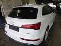 Audi Q5 50 TFSIe quattro S line S tronic NAVI SHZ ACC Weiß - thumbnail 3