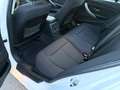 BMW 2.0 DIESEL 116 CV ADATTA A NEOPATENTATI Wit - thumbnail 10