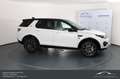 Land Rover Discovery Sport 2,0 TD4 4WD Anhängerkupplung 7 Sitzer Top! Pure Weiß - thumbnail 5