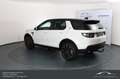 Land Rover Discovery Sport 2,0 TD4 4WD Anhängerkupplung 7 Sitzer Top! Pure White - thumbnail 10