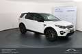 Land Rover Discovery Sport 2,0 TD4 4WD Anhängerkupplung 7 Sitzer Top! Pure Weiß - thumbnail 4