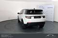 Land Rover Discovery Sport 2,0 TD4 4WD Anhängerkupplung 7 Sitzer Top! Pure Weiß - thumbnail 9