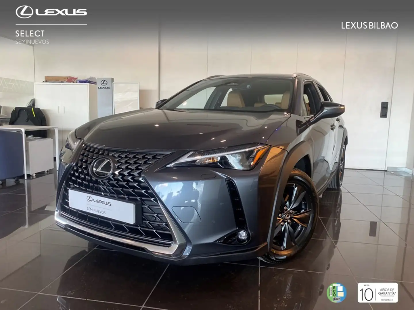 Lexus UX 300h + Grau - 1