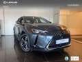 Lexus UX 300h + Grau - thumbnail 12