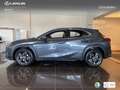 Lexus UX 300h + Grau - thumbnail 13