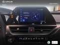 Lexus UX 300h + Grau - thumbnail 19