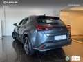 Lexus UX 300h + Grau - thumbnail 14