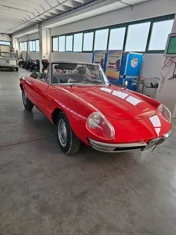 Alfa Romeo Spider