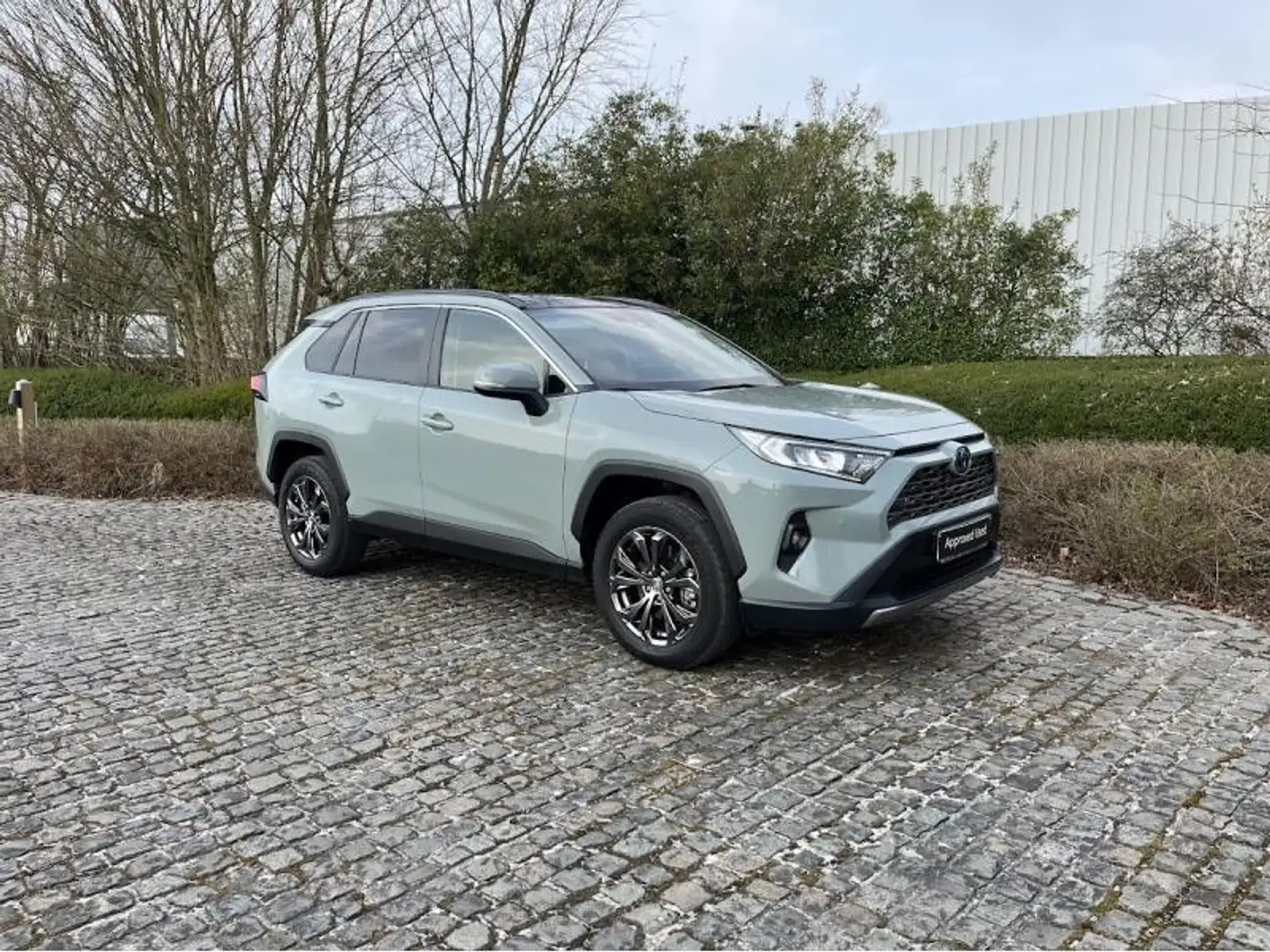 Toyota RAV 4 Dynamic Plus Grün - 1
