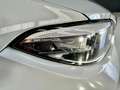 BMW M2 M2 F87 Coupe Coupe 3.0 Competition 410cv dkg Grigio - thumbnail 9