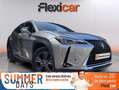 Lexus UX 250h 2.0+250h+Business Gris - thumbnail 1