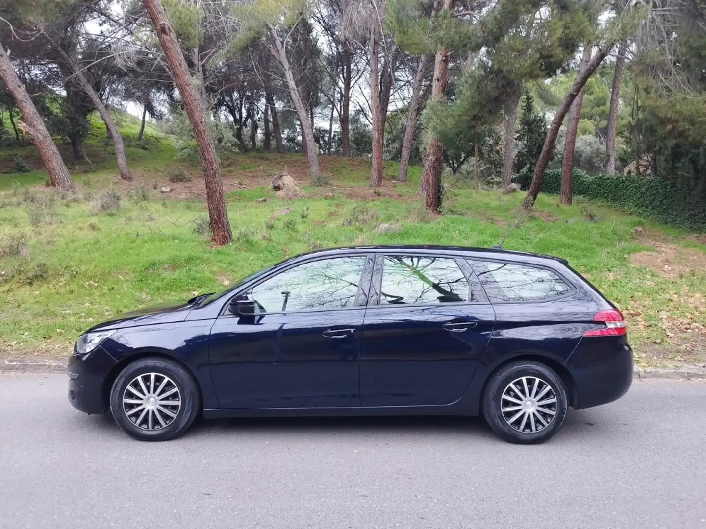 Peugeot 308 SW 1.6BlueHDi S&S Business Line 120 Azul - 1