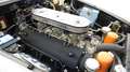 Ferrari 330 330 GT 2+2 4.0 V12 300 CV Grau - thumbnail 9