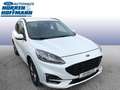 Ford Kuga Plug-In Hybrid ST-Line X Blanc - thumbnail 3