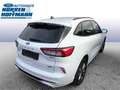 Ford Kuga Plug-In Hybrid ST-Line X Blanc - thumbnail 5