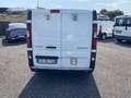 Renault Trafic Bianco - thumbnail 13