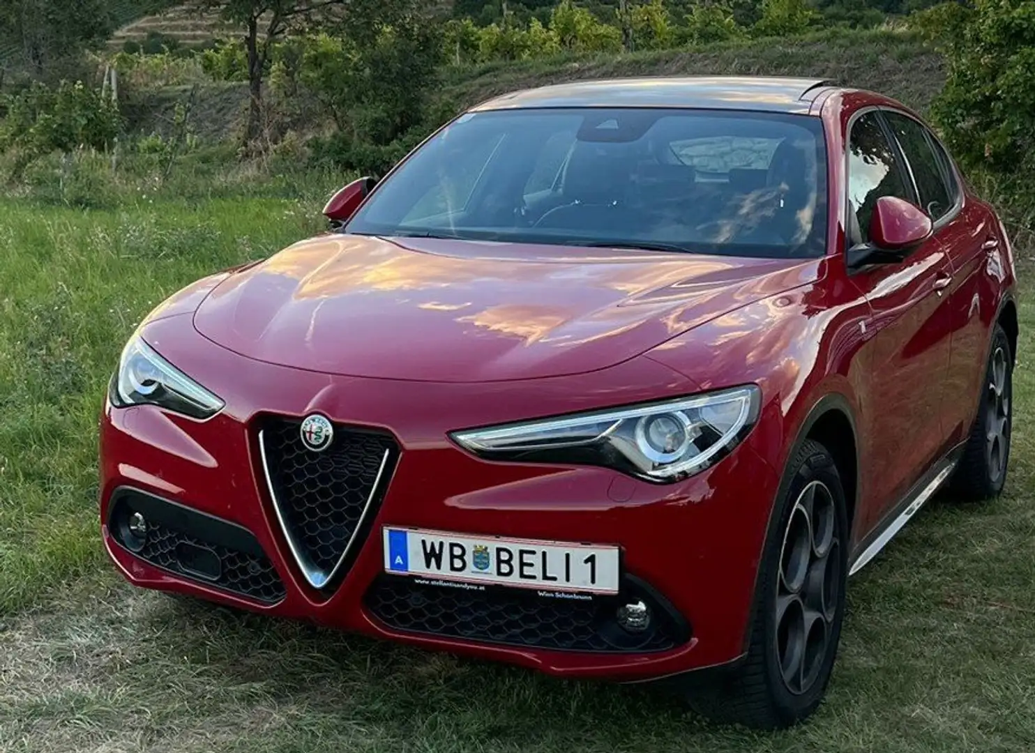 Alfa Romeo Stelvio Stelvio Ti 2,2 16V 210 AT8 Q4 Ti Rot - 1