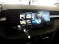 Skoda Fabia Ambition 1.0 MPI/ SmartLink, LED, SHZ, DAB Grau - thumbnail 6
