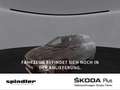 Skoda Fabia Ambition 1.0 MPI/ SmartLink, LED, SHZ, DAB Grau - thumbnail 1